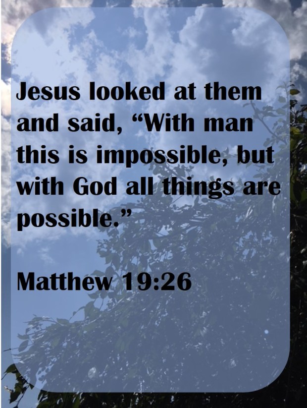Matthew 19