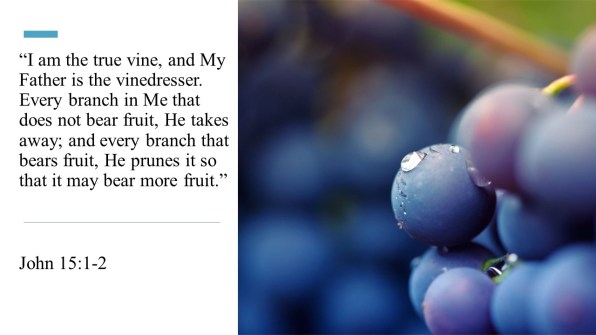 Movie Edits & Pruning Shears